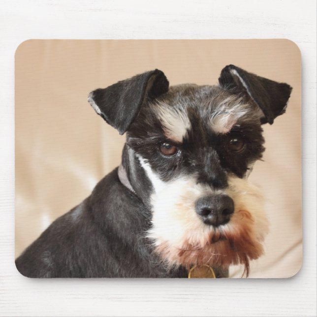 Mousepad schnauzer diminuto (Frente)