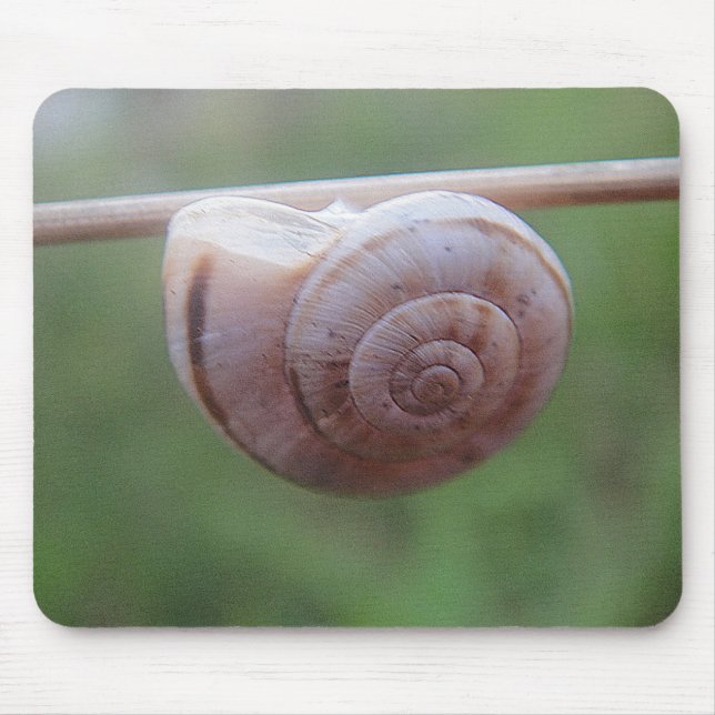 Mousepad Schnecke hängt am Stäbchen (Frente)