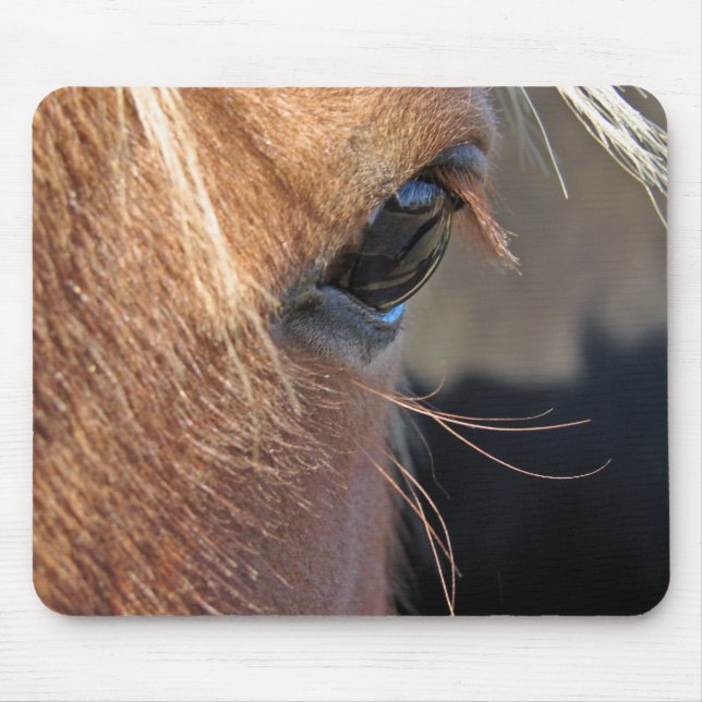 Mousepad Scotch Extreme Closeup (Frente)