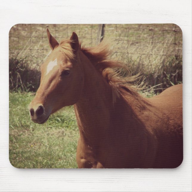 Mousepad Scotch in Motion (Frente)