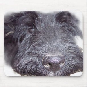 Mousepad Scottish Terrier