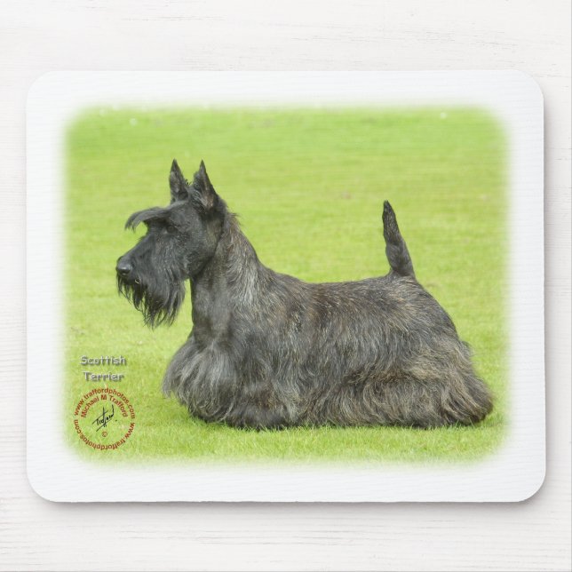 Mousepad Scottish Terrier (Frente)
