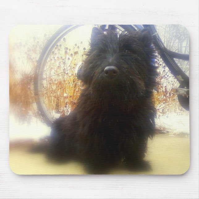 Mousepad Scottish Terrier do inverno (Frente)