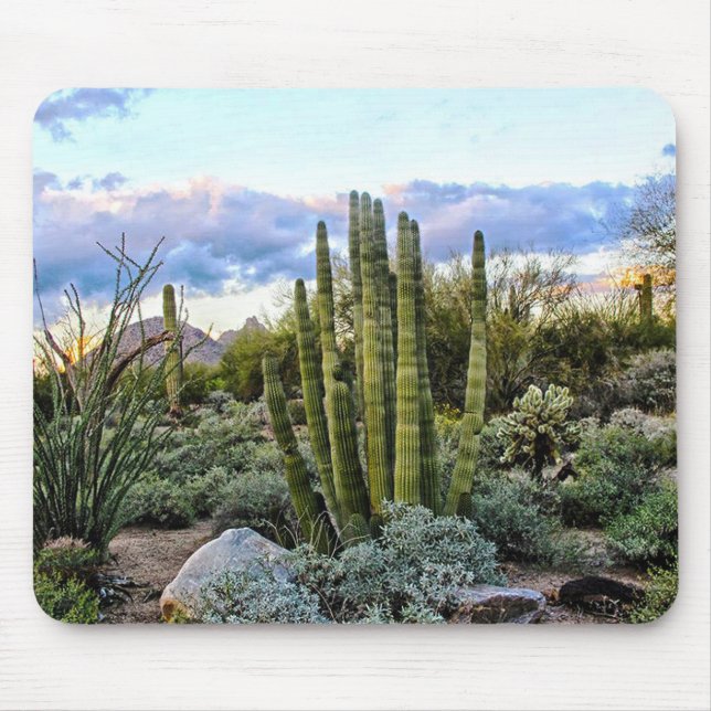 Mousepad Scottsdale Succulent Sunset (Frente)