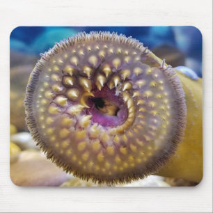 Mousepad Sea Lamprey Mouth