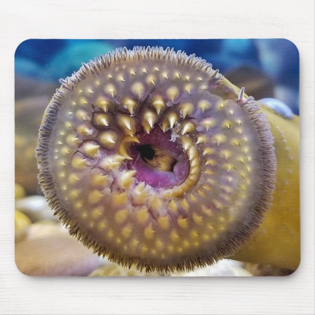 Mousepad Sea Lamprey Mouth (Frente)
