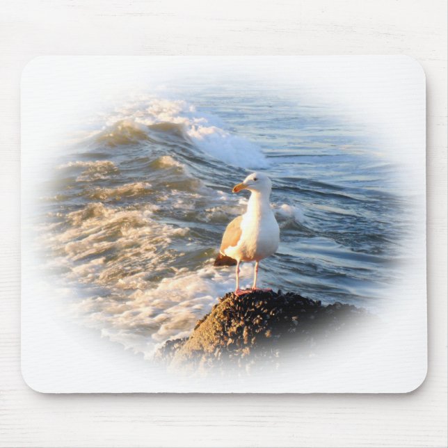 Mousepad Seagull (Frente)
