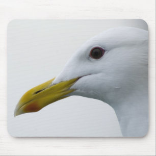 Mousepad Seagull amigável?