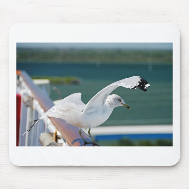 Mousepad Seagull.JPG (Frente)