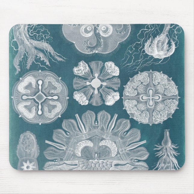 Mousepad Sealife Blueprint IV (Frente)