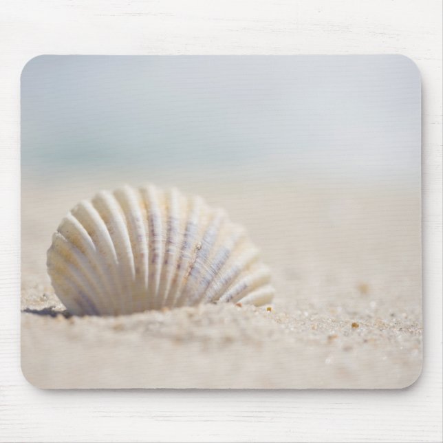 Mousepad Seashell do molusco (Frente)