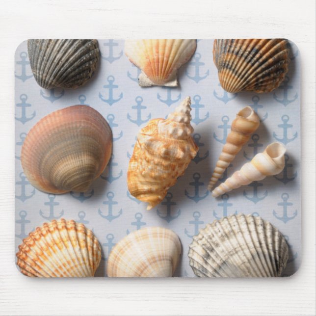 Mousepad Seashells no contexto da âncora (Frente)