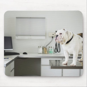 Mousepad Seattle, Washington, EUA