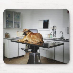 Mousepad Seattle, Washington, EUA 2