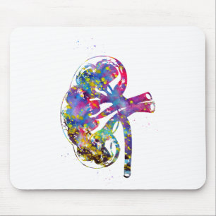 Mousepad Seção dos rins