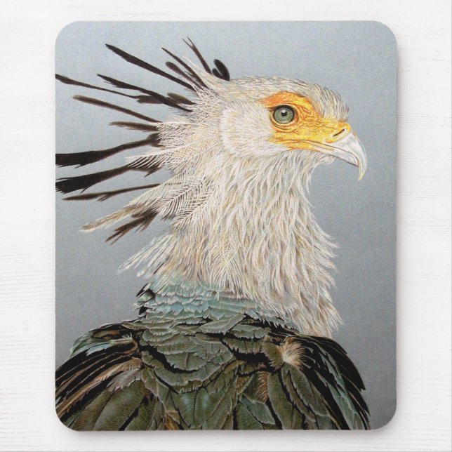 Mousepad Secretário Bird (Frente)