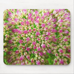 Mousepad Sedum Autumn Joy