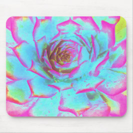 Mousepad Sedum Rosette Quente Rosa e Azul Suculente