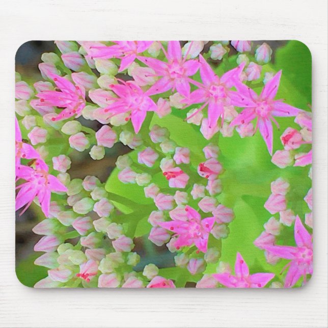 Mousepad Sedum Suculto Rosa Quente com Folhas Verdes Inchad (Frente)