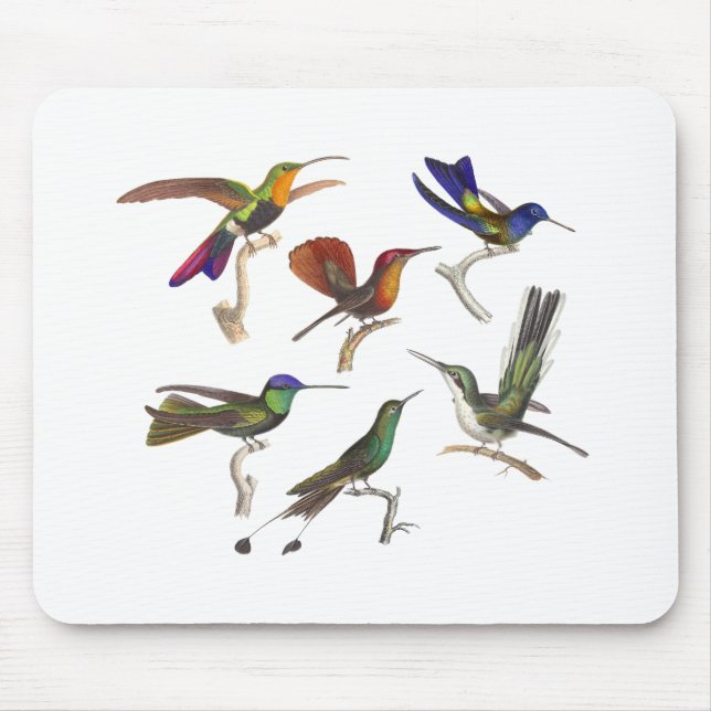 Mousepad Seis colibris coloridos (Frente)