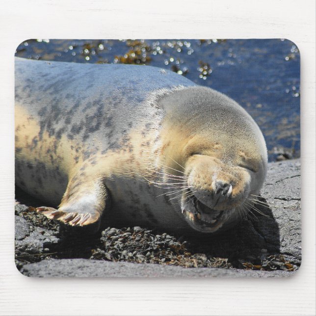 Mousepad sele rindo, selo giggling bonito, filhote de (Frente)