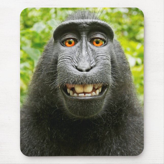 Mousepad Selfie de Macaco (Frente)