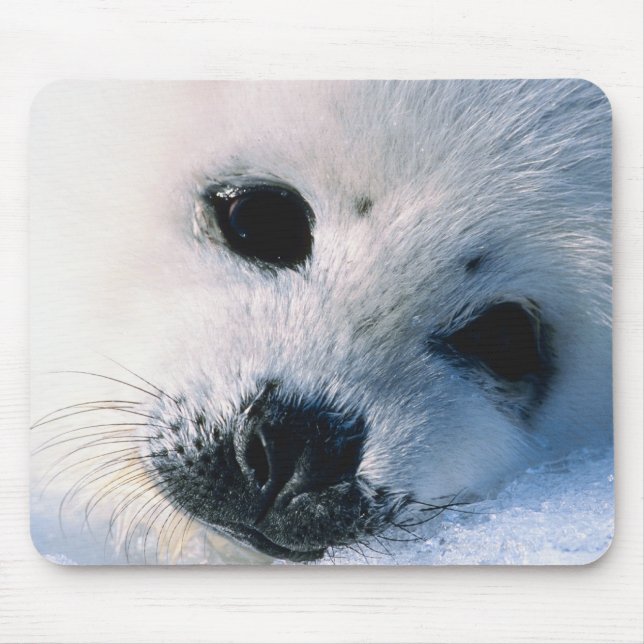 Mousepad Selo (Frente)