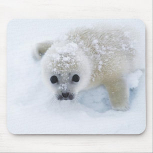 Mousepad Selo de bebê