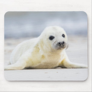 Mousepad Selo de bebê das imagens de Getty