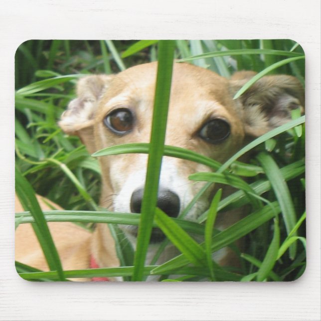 Mousepad Selva Iggy (Frente)