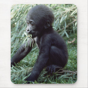 Mousepad Selvagem - Primatas 8