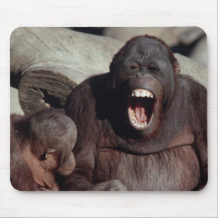 Mousepad Selvagens - Primatas 1