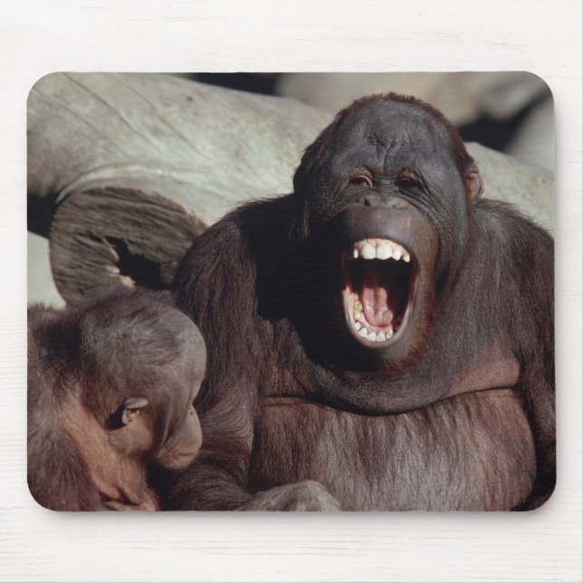 Mousepad Selvagens - Primatas 1 (Frente)