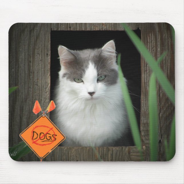 Mousepad Sem Gatinho de Zona de Cães (Frente)