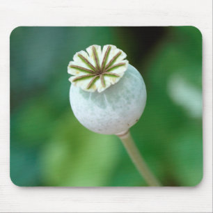 Mousepad Semente de Cabeça de Flor de Papoula, Cabo Ocident