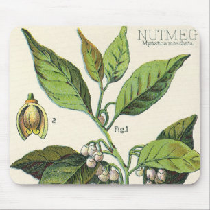 Mousepad Sementes de Fruta de Planta de Noz-moscada Vintage
