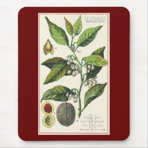 Mousepad Sementes De Frutas De Plantas Vintage Nutmeg, Plan