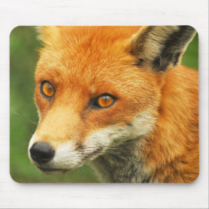 Mousepad Senhora Foxy