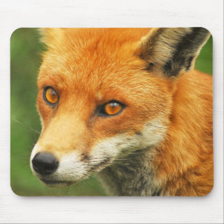 Mousepad Senhora Foxy