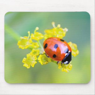 Mousepad senhora no topo