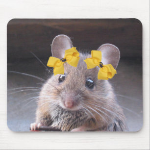 Mousepad Senhorita Mousie Almofada