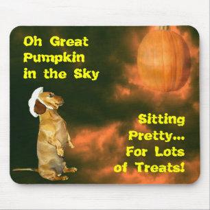 Mousepad Sentado Bonito para muitos tratamentos