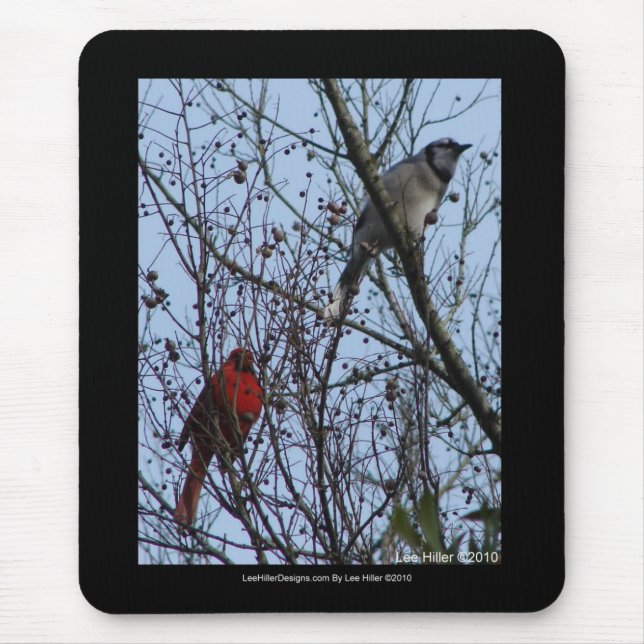 Mousepad Sentinels Blue Jay e Cardeal por Lee Hiller (Frente)
