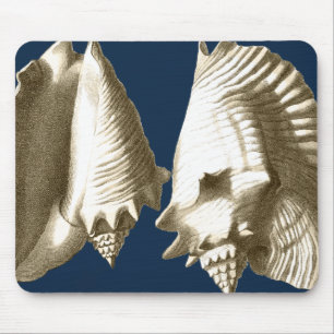 Mousepad Sepia Conch Seashells