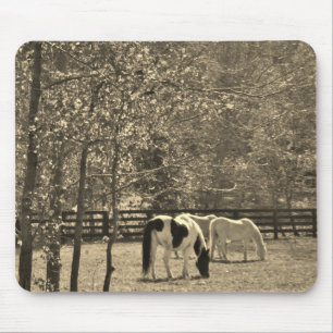 Mousepad Sépia Foto Tom Horse