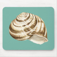 Sepia Striped Shell em Teal