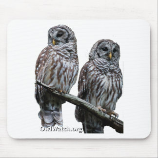 Mousepad Sept 2014 - Corujas de OwlWatch