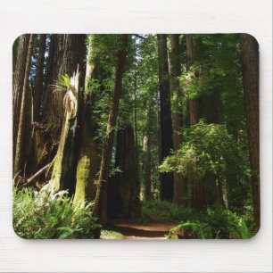 Mousepad Sequóias e Samambaias no Parque Nacional das Sequó