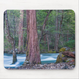 Mousepad Sequoias & Rio Merced Parque Nacional de Yosemite,