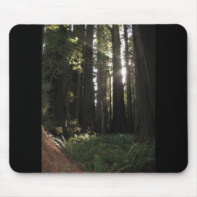 Mousepad Sequóias vermelhas (Frente)